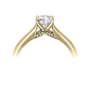 Four claw RBC solitaire with a tapering court shape band, diamonds set under the setting